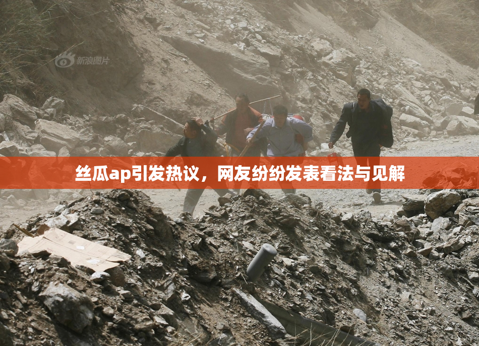 丝瓜ap引发热议，网友纷纷发表看法与见解