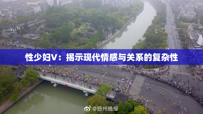 性少妇V：揭示现代情感与关系的复杂性