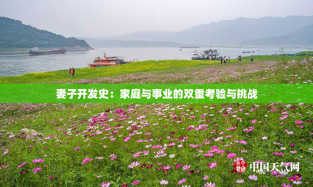 妻子开发史：家庭与事业的双重考验与挑战