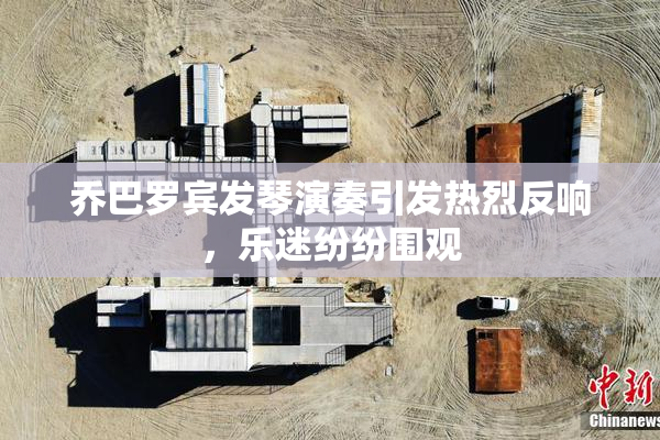 乔巴罗宾发琴演奏引发热烈反响，乐迷纷纷围观