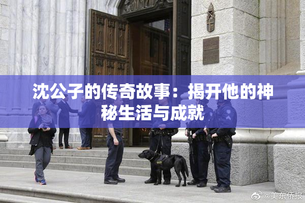 沈公子的传奇故事：揭开他的神秘生活与成就
