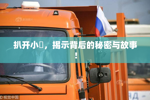 扒开小泬，揭示背后的秘密与故事！