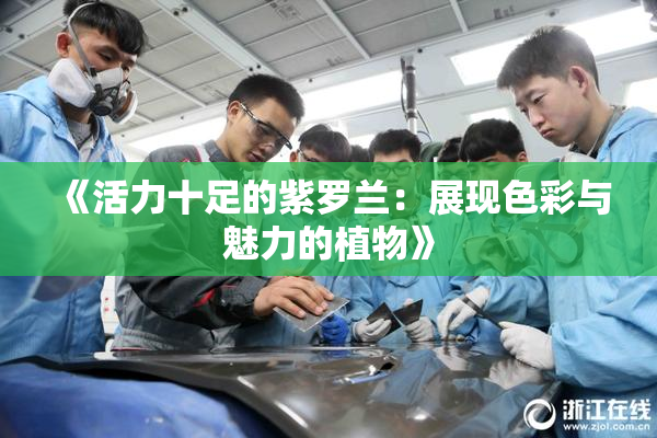 《活力十足的紫罗兰：展现色彩与魅力的植物》