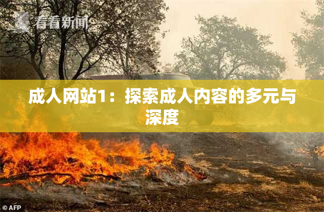 成人网站1：探索成人内容的多元与深度