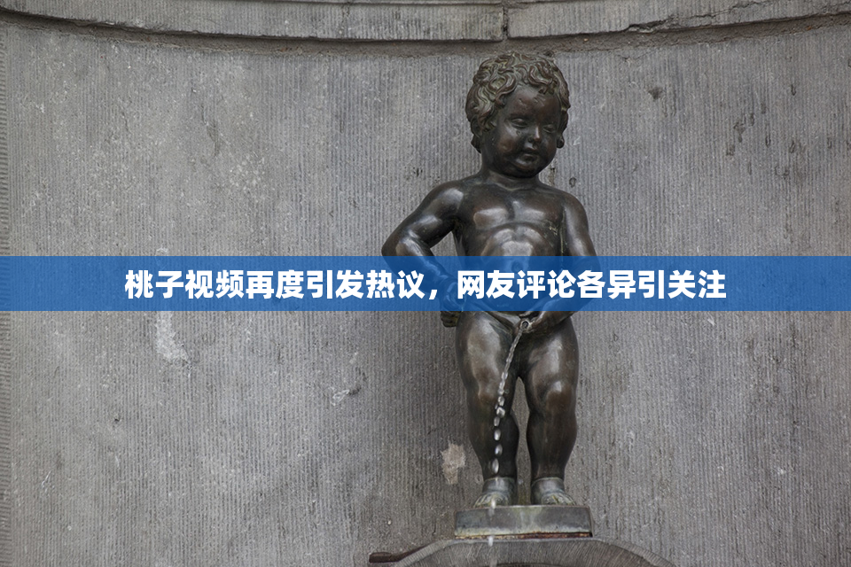桃子视频再度引发热议，网友评论各异引关注