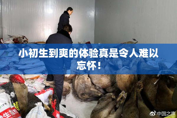 小初生到爽的体验真是令人难以忘怀！
