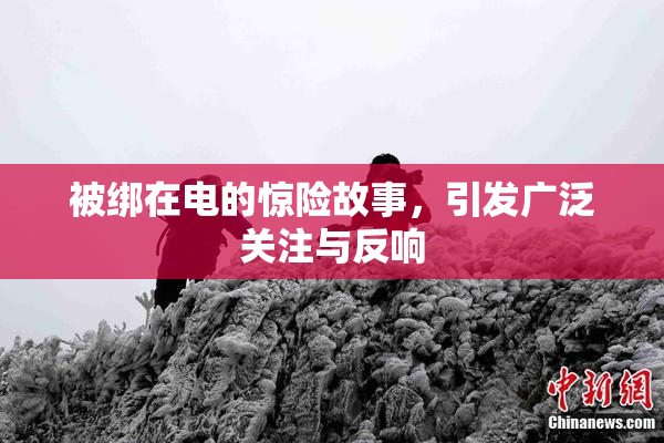 被绑在电的惊险故事，引发广泛关注与反响