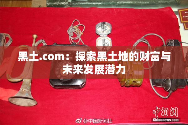 黑土.com：探索黑土地的财富与未来发展潜力