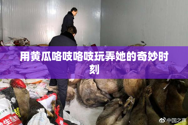 用黄瓜咯吱咯吱玩弄她的奇妙时刻