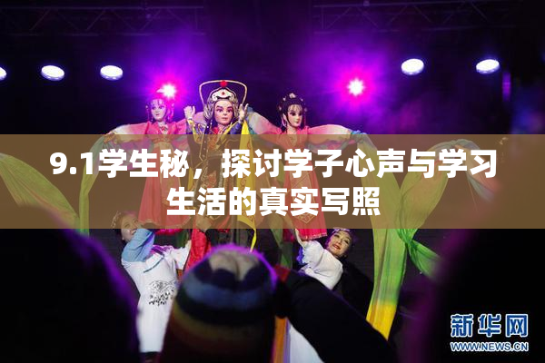 9.1学生秘，探讨学子心声与学习生活的真实写照