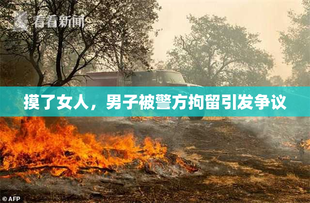 摸了女人，男子被警方拘留引发争议