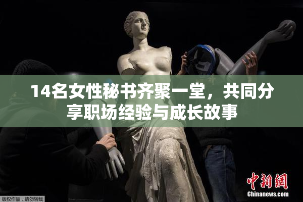 14名女性秘书齐聚一堂，共同分享职场经验与成长故事