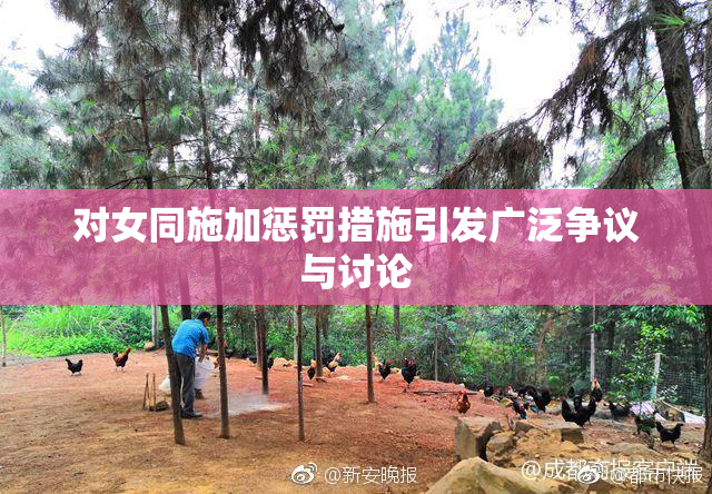 对女同施加惩罚措施引发广泛争议与讨论