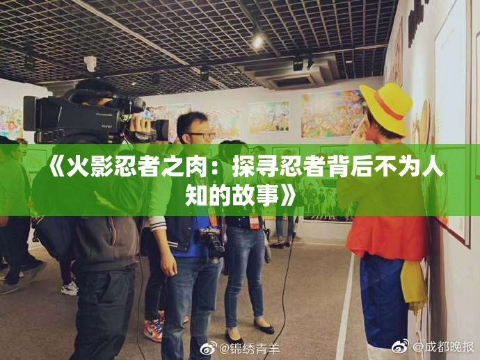 《火影忍者之肉：探寻忍者背后不为人知的故事》