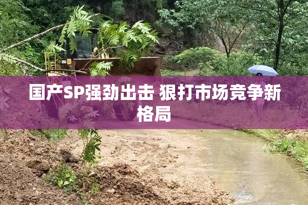 国产SP强劲出击 狠打市场竞争新格局