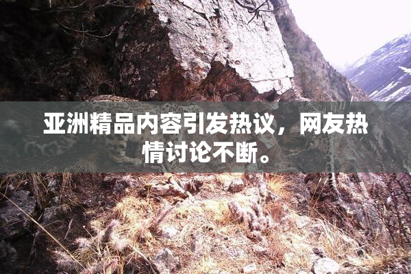 亚洲精品内容引发热议，网友热情讨论不断。
