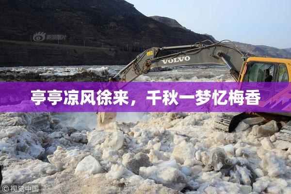 亭亭凉风徐来，千秋一梦忆梅香