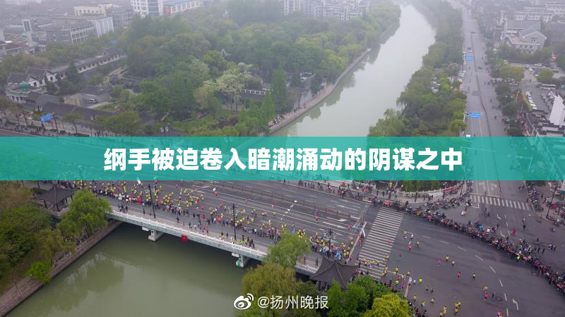 纲手被迫卷入暗潮涌动的阴谋之中