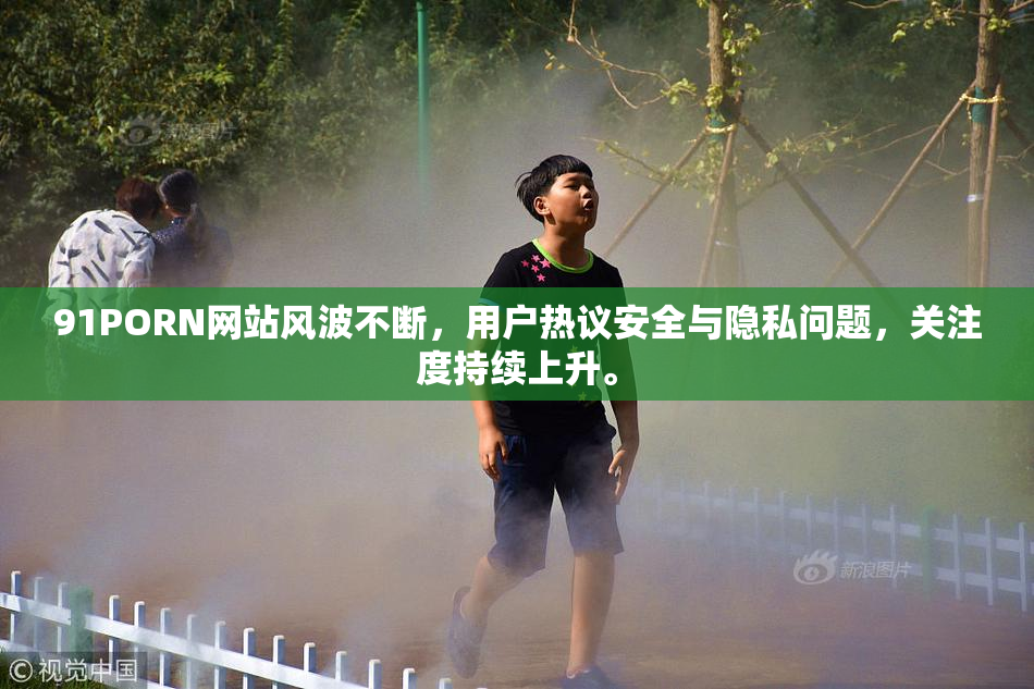 91PORN网站风波不断，用户热议安全与隐私问题，关注度持续上升。