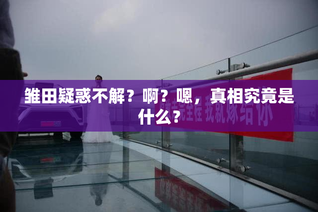 雏田疑惑不解？啊？嗯，真相究竟是什么？