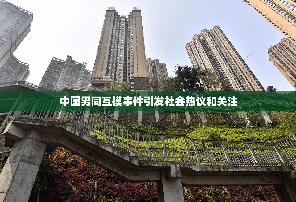 中国男同互摸事件引发社会热议和关注