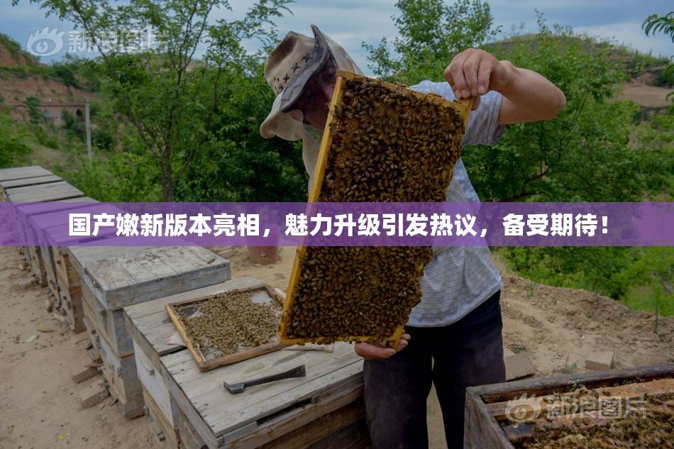 国产嫩新版本亮相，魅力升级引发热议，备受期待！