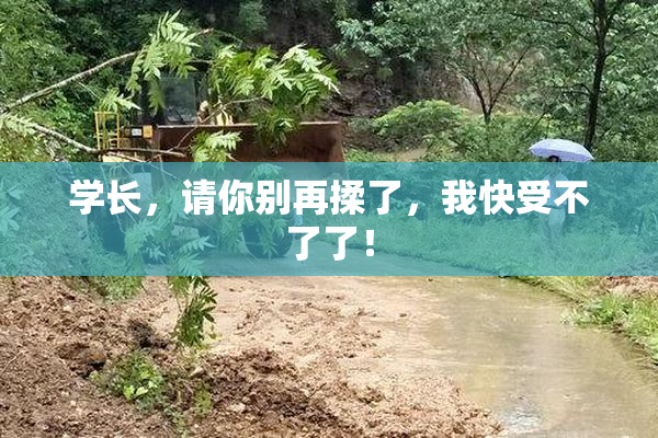 学长，请你别再揉了，我快受不了了！