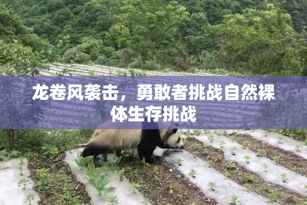 龙卷风袭击，勇敢者挑战自然裸体生存挑战
