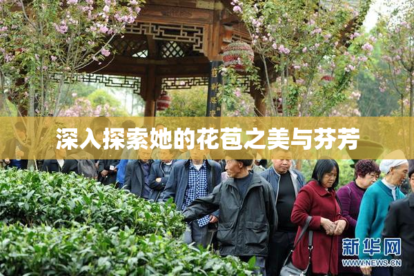 深入探索她的花苞之美与芬芳