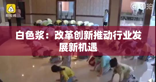 白色浆：改革创新推动行业发展新机遇