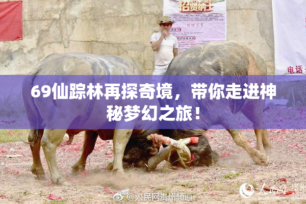 69仙踪林再探奇境，带你走进神秘梦幻之旅！