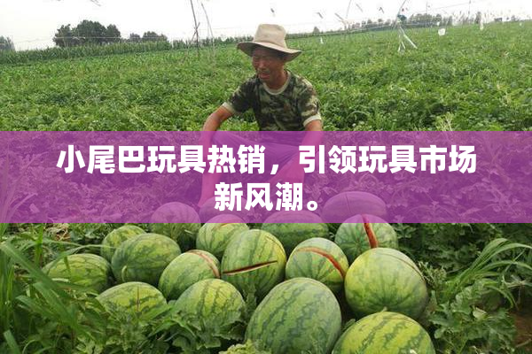 小尾巴玩具热销，引领玩具市场新风潮。
