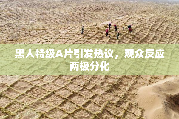 黑人特级A片引发热议，观众反应两极分化