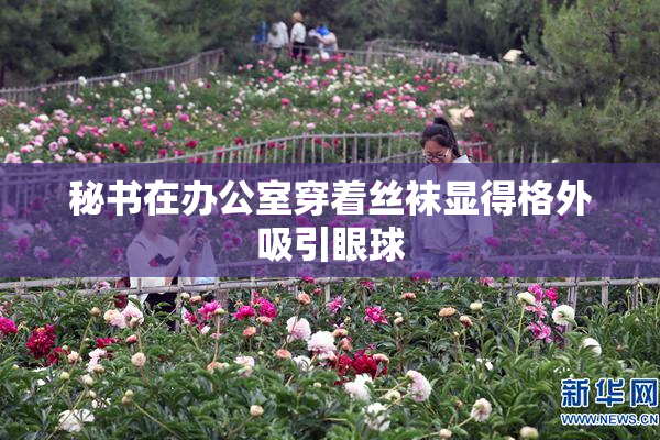 秘书在办公室穿着丝袜显得格外吸引眼球