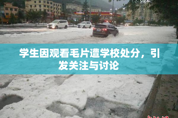 学生因观看毛片遭学校处分，引发关注与讨论