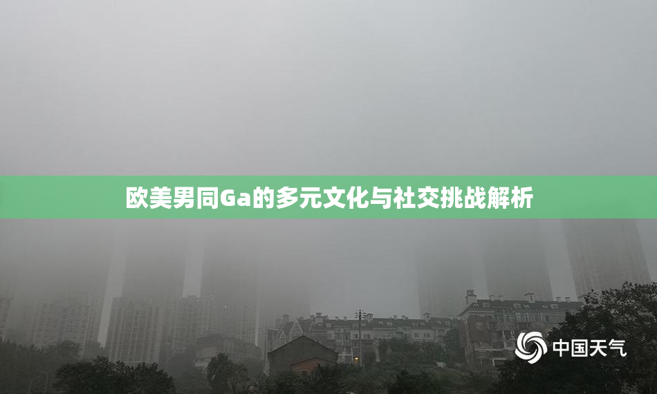 欧美男同Ga的多元文化与社交挑战解析