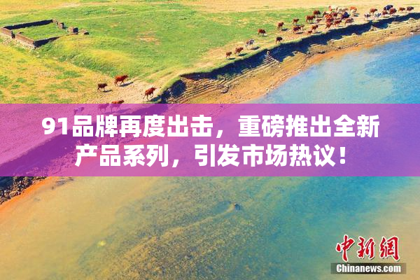 91品牌再度出击，重磅推出全新产品系列，引发市场热议！