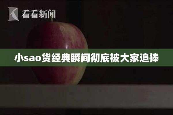 小sao货经典瞬间彻底被大家追捧