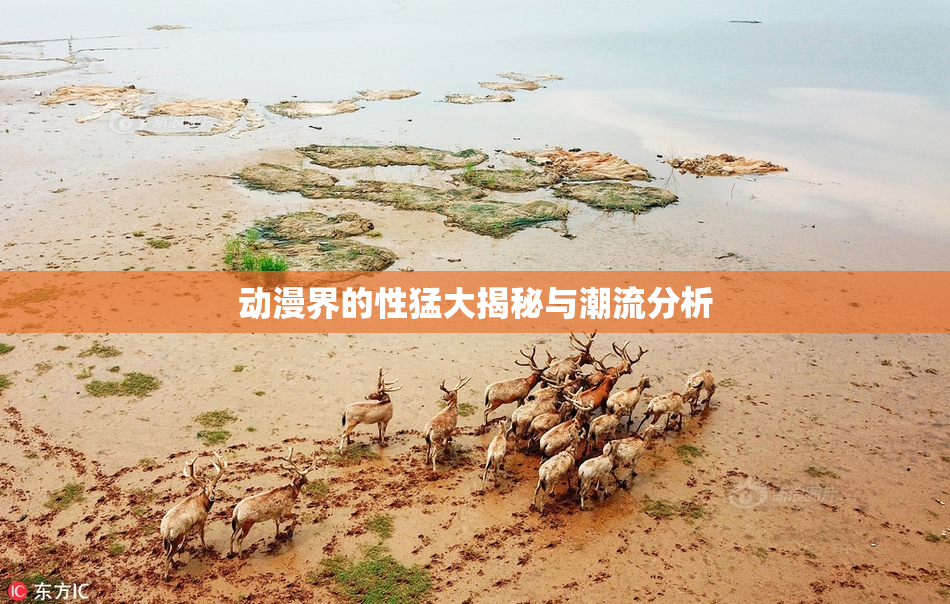 动漫界的性猛大揭秘与潮流分析