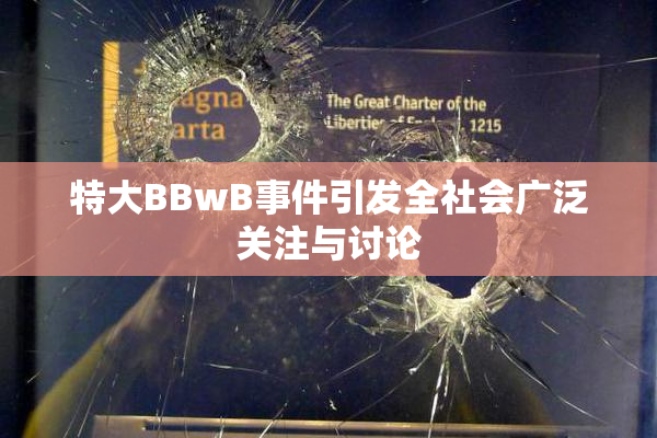 特大BBwB事件引发全社会广泛关注与讨论