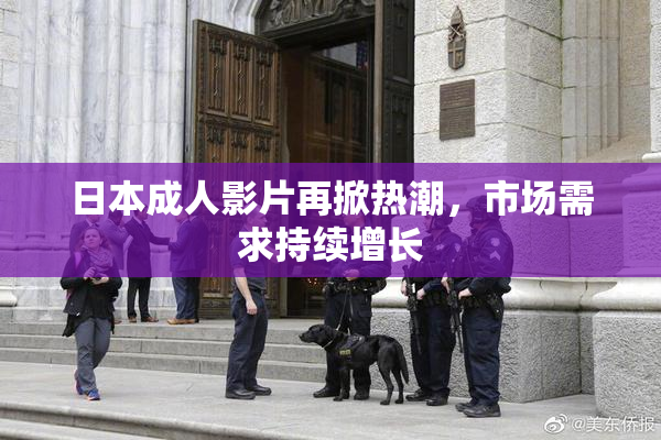 日本成人影片再掀热潮，市场需求持续增长