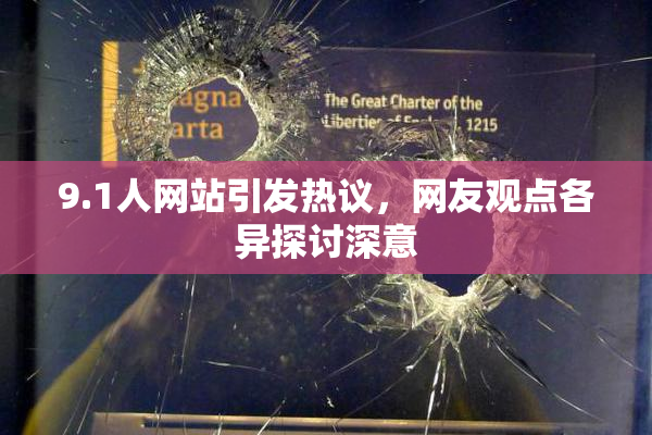 9.1人网站引发热议，网友观点各异探讨深意