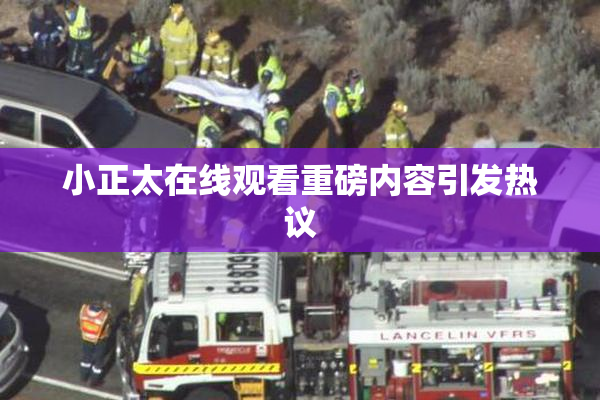 小正太在线观看重磅内容引发热议