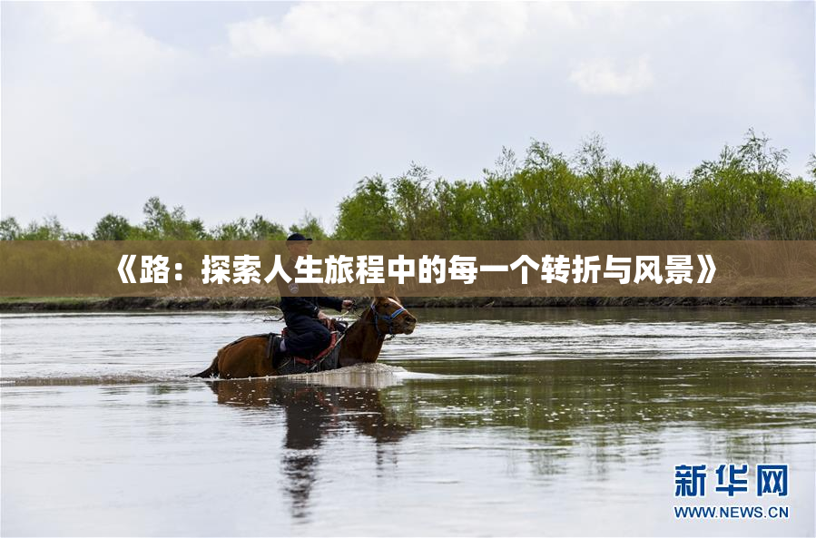 《路：探索人生旅程中的每一个转折与风景》