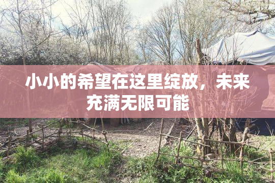 小小的希望在这里绽放，未来充满无限可能