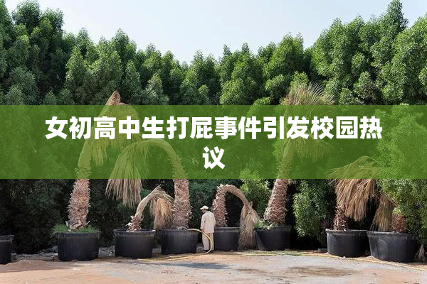 女初高中生打屁事件引发校园热议