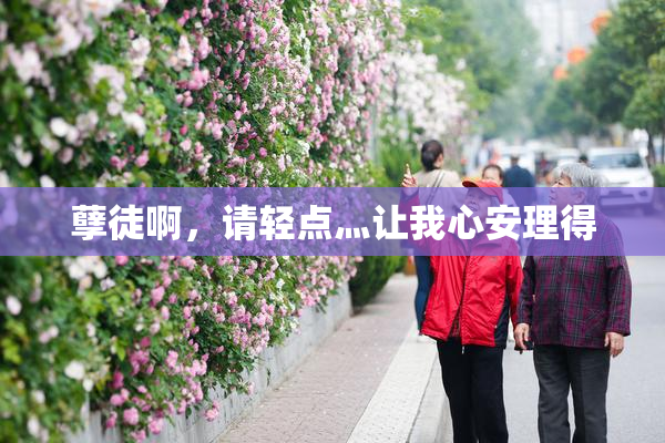 孽徒啊，请轻点灬让我心安理得