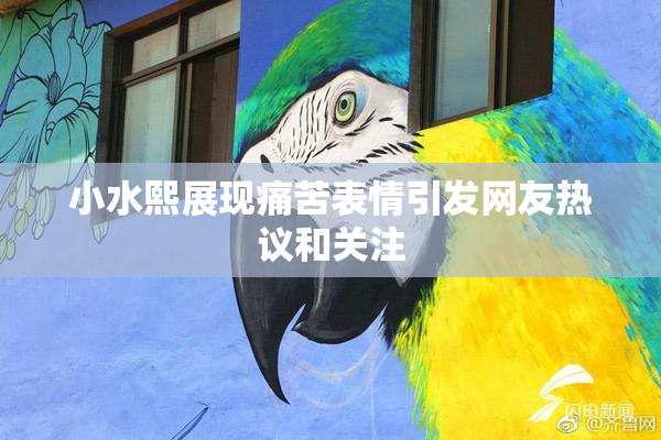 小水熙展现痛苦表情引发网友热议和关注