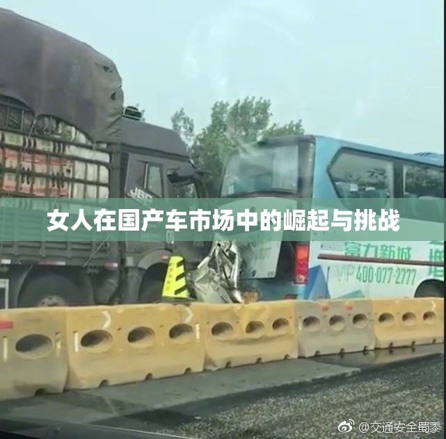 女人在国产车市场中的崛起与挑战