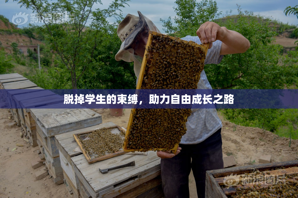脱掉学生的束缚，助力自由成长之路